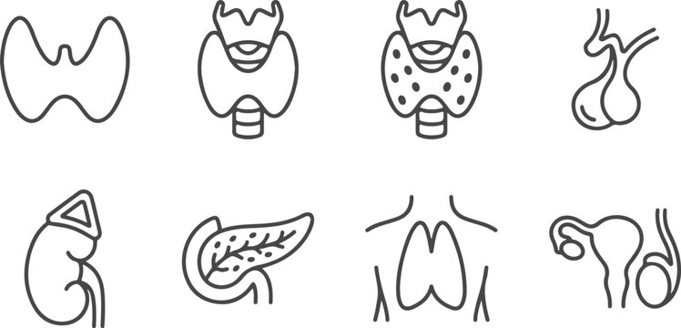 Medical icons representing human endocrine system organs like thyroid adrenal gland pancreas ovaries pituitary.
