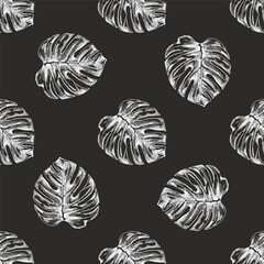 Hand drawn vintage seamless pattern of monstera leaves in chalk engraved tropical botanical sketch style on chalkboard background © Mariia Mazaeva