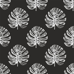 Hand drawn vintage seamless pattern of monstera leaves in chalk engraved tropical botanical sketch style on chalkboard background © Mariia Mazaeva