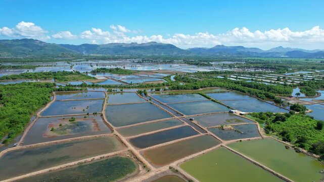 Aerial drone footage of an agricultural patchwork of salt ponds full of water, with vegetations and mud, in south Dompu regency area, Sumbawa island, Indonesia, on the way to Lakey beach