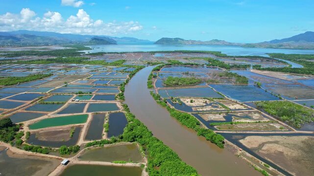 Aerial drone footage on top of a patchwork of salt ponds full of water, with vegetations around and mud, in south Dompu regency area, Sumbawa island, Indonesia, with river in the middle, hills behind