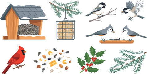 Bird Feeder and Winter Birds Vector Set Featuring Chickadees, Cardinal, Seeds, Pine Branches, and Holly for Outdoor and Nature Illustrations © Sanjida