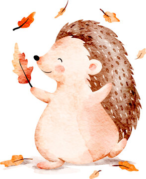 Watercolor Hedgehog with Autumn Leaves