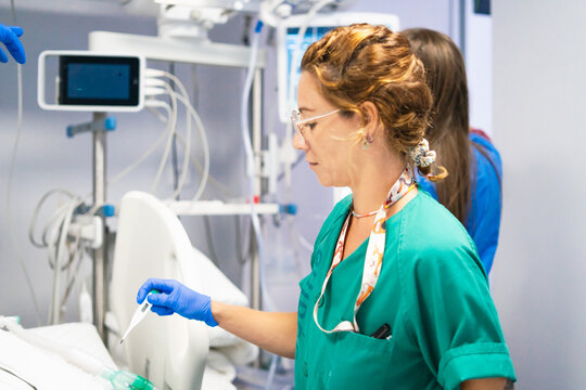 Medical worker checking patient temperature with thermometer in hospital