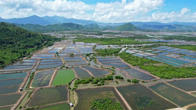 Aerial drone footage on top of a patchwork of salt ponds full of water, with vegetations around and mud, in south Dompu regency area, Sumbawa island, Indonesia, on the way to Lakey beach