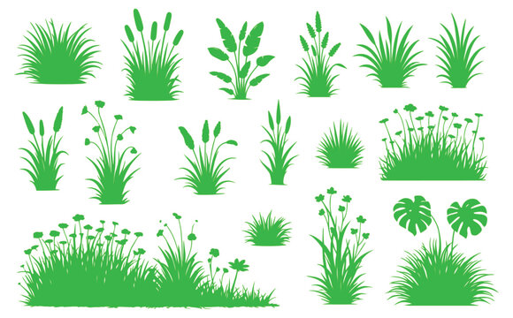 Green grass silhouettes and botanical plant set, collection of 16 garden shrubs and meadow weeds, flat vector floral elements for landscape design