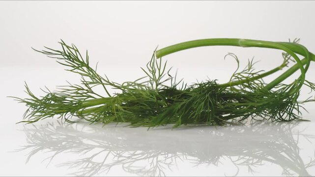 Fresh aromatic Dill bouncing on a white tabletop in slow motion close up macro before settling.