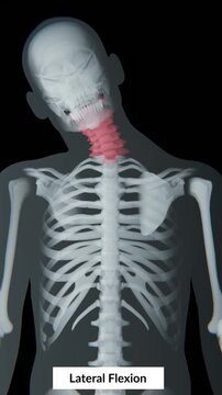 Video of Neck lateral flexion is the side-to-side bending movement of the head and neck along the cervical spine, enabling flexibility and motion control with effective area