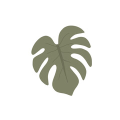 Fototapeta premium Tropical monstera leaf with unique shapes Hand drawn illustration. Minimalist flat exotic foliage isolated on white background.