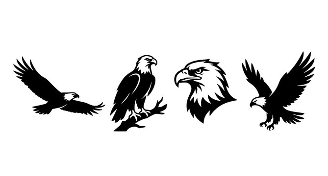 Four Eagle Species Silhouette Icons Monochrome Vector Illustration