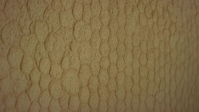 Textured wall surface with a continuous pattern of raised, oval shapes in a warm beige color, showcasing a gradual shift in perspective across three frames
