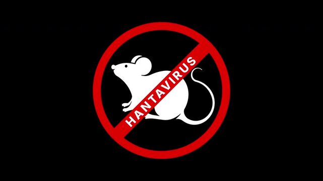 animated mouse virus prohibition red sign with hantavirus text. 4K video alpha channel background 