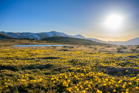 Sierra de Guadarrama al atardecer