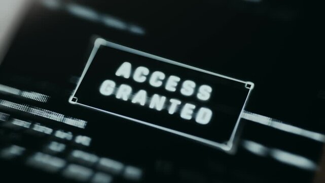 ACCESS GRANTED message, successful system authorization