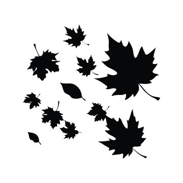 black and white leaves falling from trees silhouette vector illustration, autumn leaves falling silhouette vector illustration