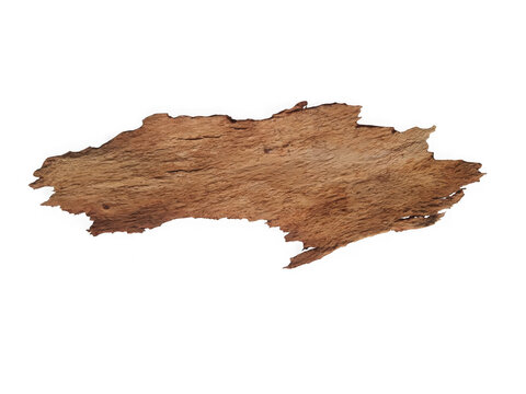 Dried brown bark texture with natural roughness white background
