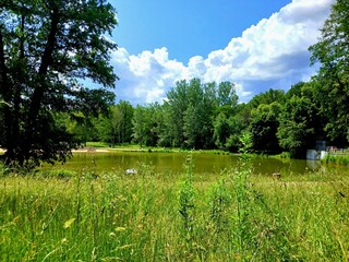lake in the park © Pablox45