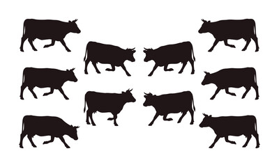 Fototapeta premium Collection of eight black cow silhouettes in various walking poses isolated on white.