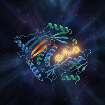 KRAS Oncogene Protein Ribbon Structure with RAS Inhibitor Binding Site 3D Molecular Medical Illustration
