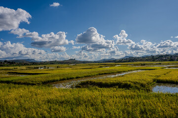 Obraz premium Rice fields stretching toward hills near Antsirabe under a cloudy blue sky