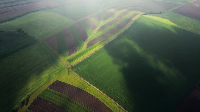 Aerial view of rolling agricultural fields with striped patterns and soft shadows across the rural landscape in Bohumilice, South Bohemian Region, Czechia.