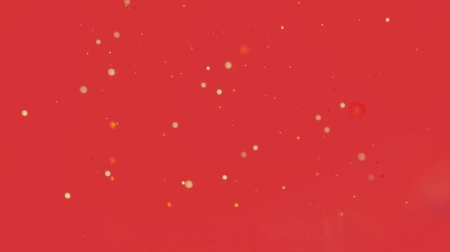 Color Vermilion E34234 Hex Code Multicolored Shimmering Particles Backgrounds seamless loop animation digital banner abstract template futuristic retro wallpaper creative content glossy pattern
