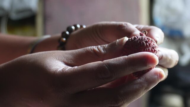 Hands Peeling Fresh Lychee Fruit Close Up