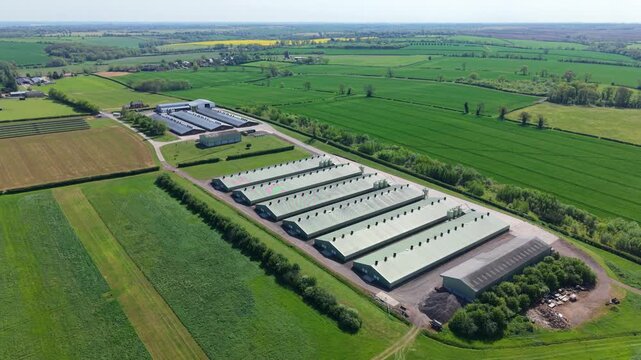 Aerial view of a large industrial poultry farm with long sheds surrounded by lush green agricultural fields and hedgerows in Kettering, England, United Kingdom.