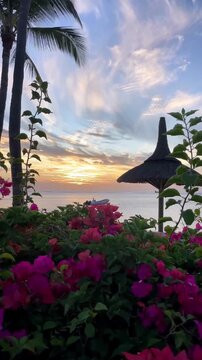 Tropical Sunset Over Indian Ocean in Mauritius with Palm Trees and Pink Bougainvillea Flowers