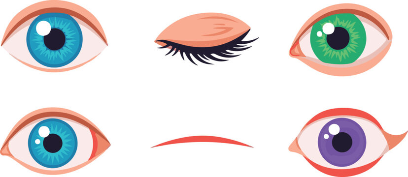 Human eye illustration set showing iris eyelid pupil and vision anatomy icons for healthcare design on white background medical reference