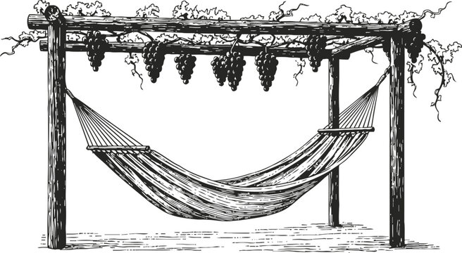 Hammock hanging on wooden frame with grapevine clusters, vintage garden relaxation illustration