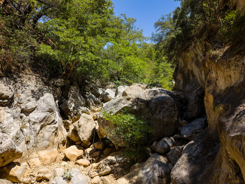 Scenic view of a rocky canyon path surrounded by green forest and steep cliffs