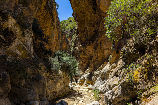 Dramatic limestone canyon walls rising above a hiking trail in a rocky gorge