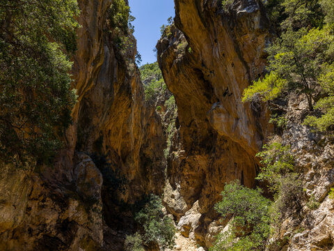 Deep canyon landscape with steep rocky walls and green vegetation in summer