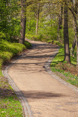 Fototapeta premium Rad- und Fußweg in einer Parkanlage im Frühling, Bremen, Deutschland
