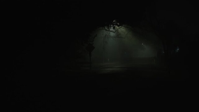 Empty foggy night road under trees with road sign, dim diffused streetlight glow cuts through dense fog creating eerie low visibility atmosphere and silent night mood
