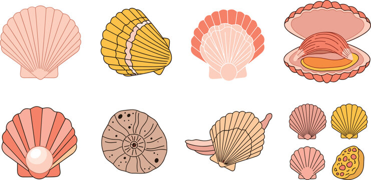 Set of Seashell and Marine Shell Vector Illustrations Featuring Pearls, Clams, Scallops, Sand Dollars, and Colorful Ocean Shells for Beach and Ocean Designs