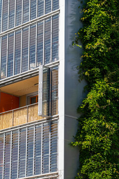 Greenery rises vertically beside Lyon glass facade lines, with trees and plants defining urban building architecture in France today