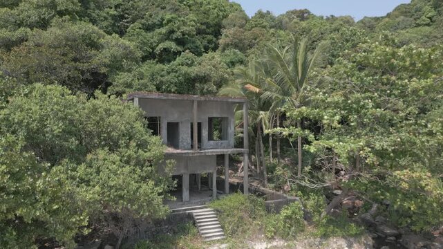 Dense tropical jungle reclaims an abandoned structure left to decay.