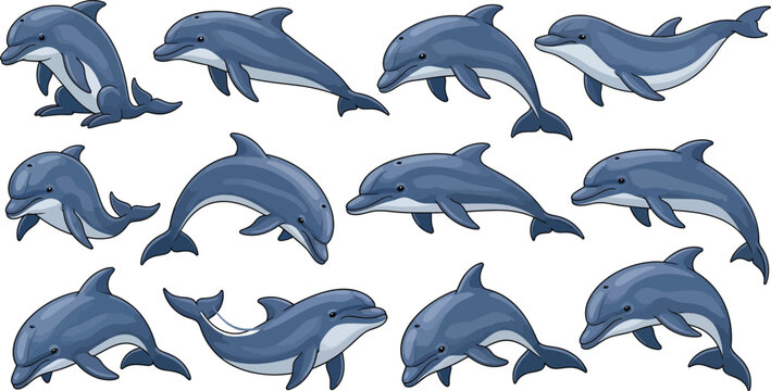 Cute dolphin cartoon character collection with different poses jumping swimming diving isolated on white background vector illustrationCute dolphin cartoon character collection with different poses ju