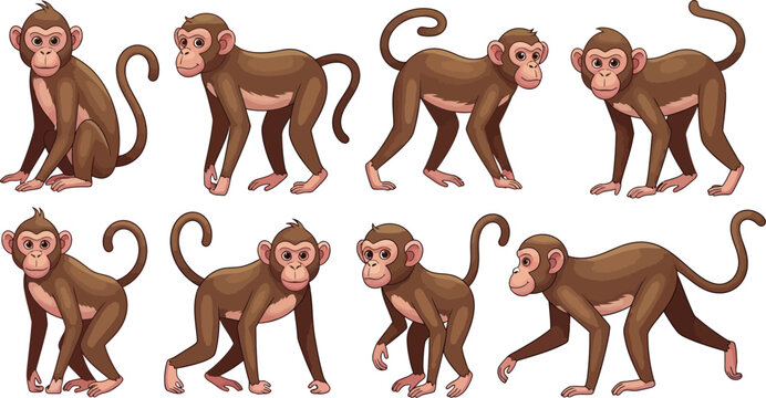 Cute brown monkey cartoon character collection with different poses sitting walking standing isolated on white background vector illustrationCute brown monkey cartoon character collection with differe