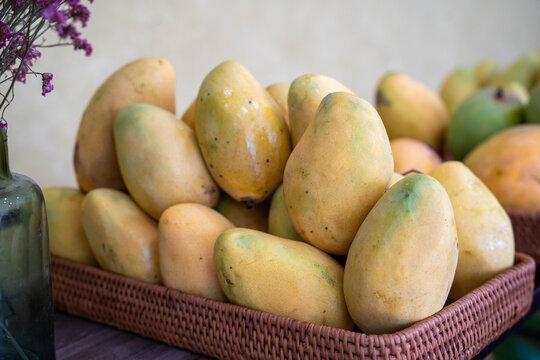 A vibrant display of ripe mangoes in a woven basket, showcasing their golden hue.