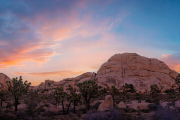 Naklejka premium Beautiful landscape view of boulders, red rock formations, grass, cactuses from the hiking trail in Joshua Tree National Park, California,
