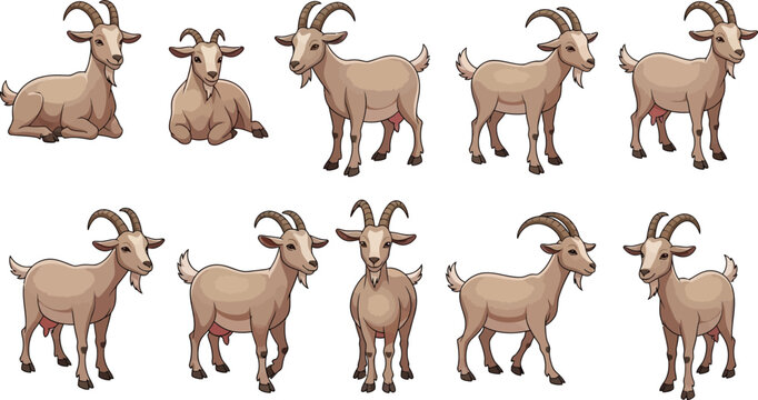 Set of domestic goat livestock vector illustrations in various standing and walking positions for farm design elementsSet of domestic goat livestock vector illustrations in various standing and walkin