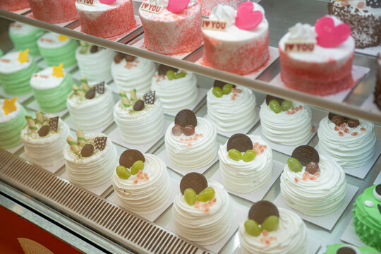 Delightful assortment of colorful mini cakes and desserts in a bakery display case.