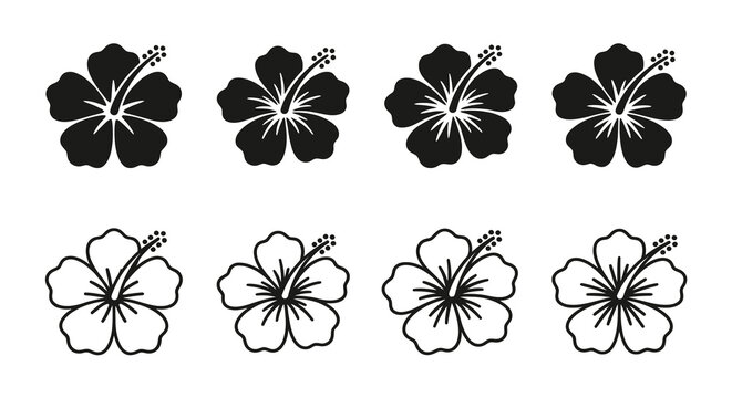 hibiscus flower silhouettes and line art on white background