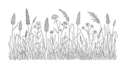 Line of wild grasses and small flowers in a meadow nature © Musfiqur