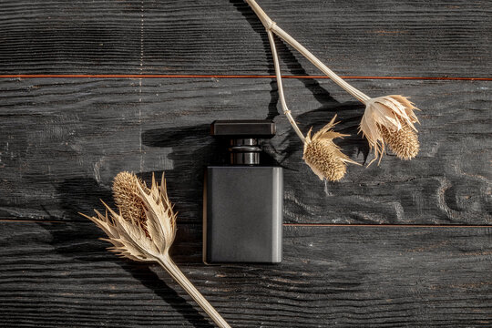 Stylish men perfume in a black bottle top view. Male fragrance and cosmetic concept