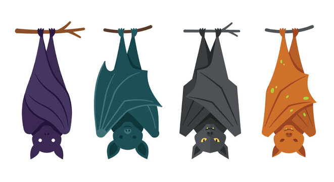 hanging bats illustration colorful cartoon style on white background