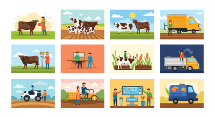 Naklejka premium Infographic collection showing various stages of cattle farming including grazing milking transportation and dairy product manufacturing.